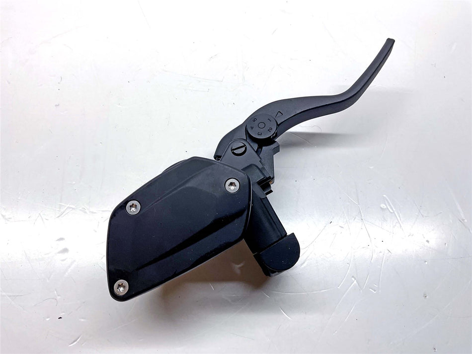 2025 BMW S1000R Sport Front Brake Master Cylinder - 32725A69042