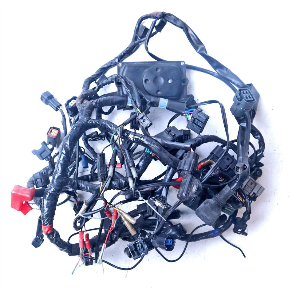 2007 Triumph Street Triple 675 Wiring Harness Loom - T2500674