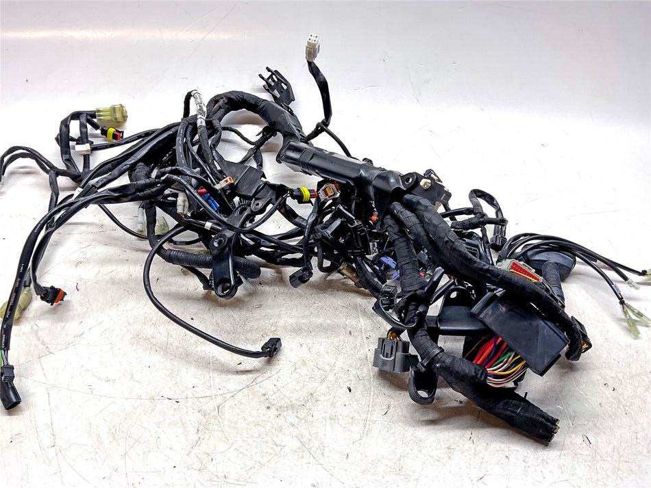 2020 KTM 1290 Super Duke R Wiring harness - 61711075033