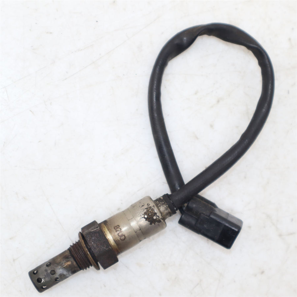 2019 TRIUMPH THRUXTON 1200 R Oxygen Sensor - T2204062