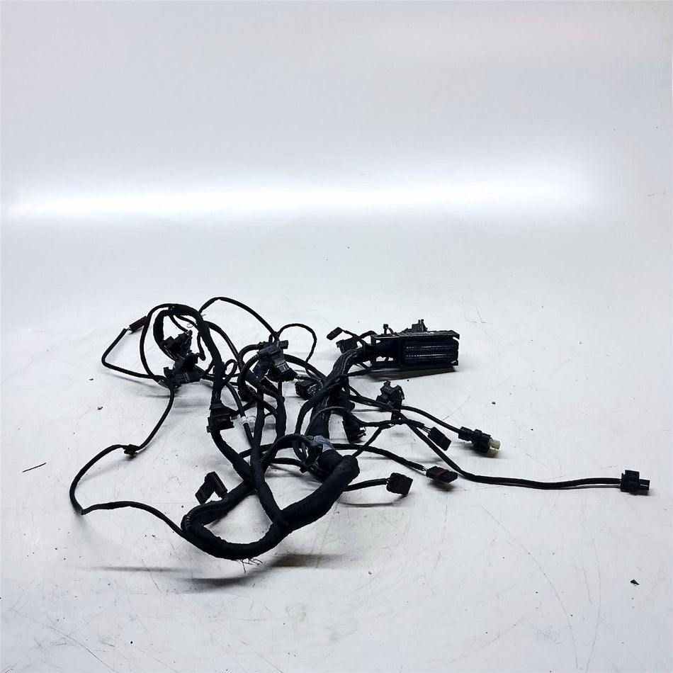 2018 BMW S1000R Wiring Loom - 12518355089