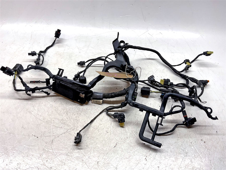 2019 BMW R1250GS Adventure Engine Wiring Harness - 12519480230