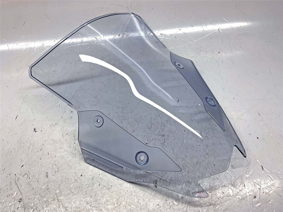 2023-2025 Kawasaki Ninja 1000SX ZX1000 Screen