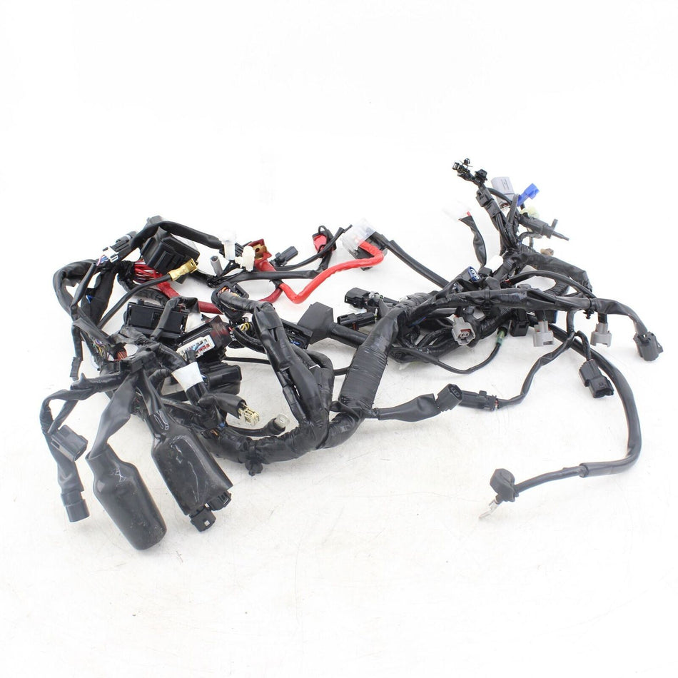 2022-ON YAMAHA XSR 900 Main Wiring Loom - BEA8259000