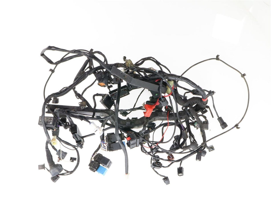 2017-2019 TRIUMPH STREET TRIPLE S 765 Wiring Loom  - T2501991