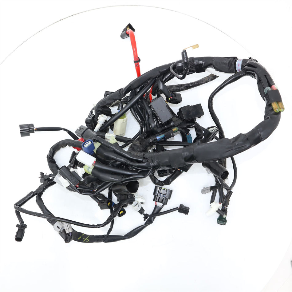 2022-2023 YAMAHA YZF-R7 Wiring Loom - B46808